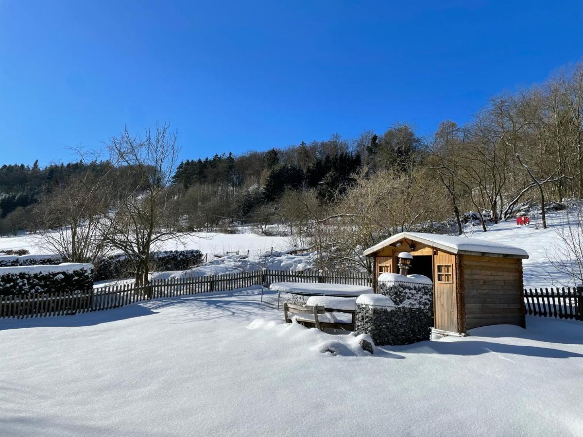 Ferienwohnung Up Willingen-Schwalefeld Виллинген Экстерьер фото