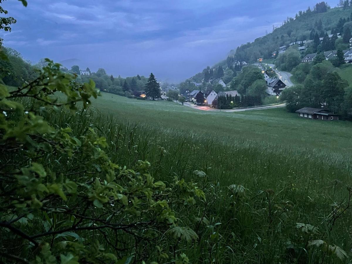 Ferienwohnung Up Willingen-Schwalefeld Виллинген Экстерьер фото