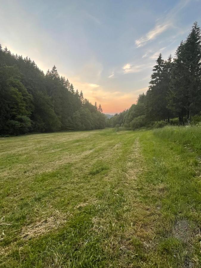 Ferienwohnung Up Willingen-Schwalefeld Виллинген Экстерьер фото