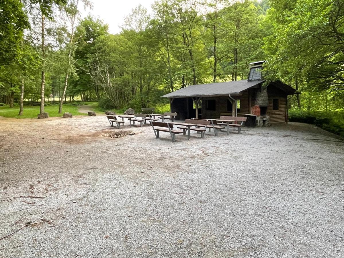 Ferienwohnung Up Willingen-Schwalefeld Виллинген Экстерьер фото