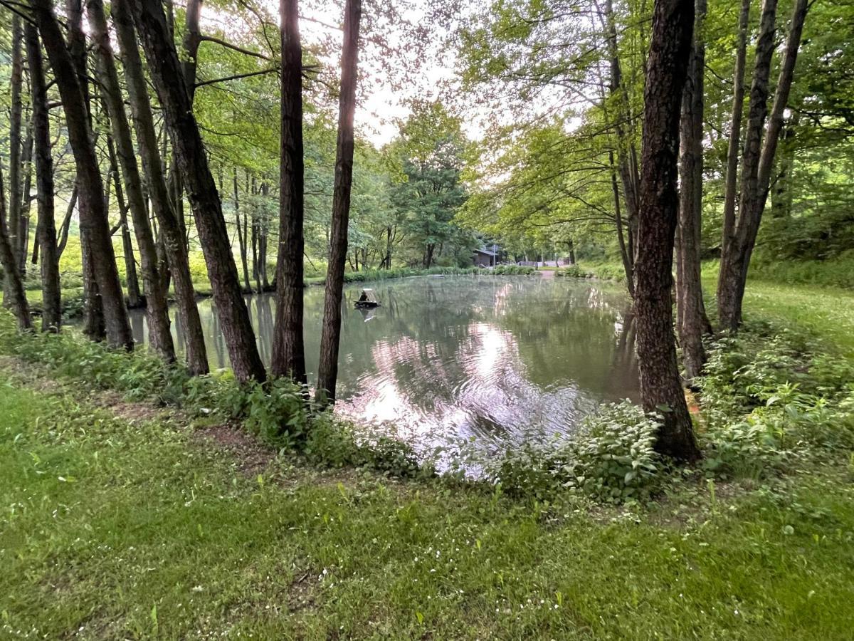 Ferienwohnung Up Willingen-Schwalefeld Виллинген Экстерьер фото