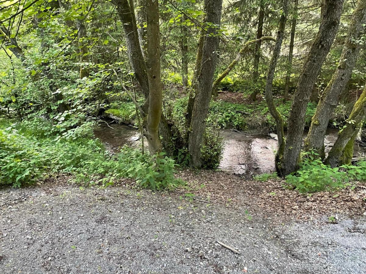 Ferienwohnung Up Willingen-Schwalefeld Виллинген Экстерьер фото