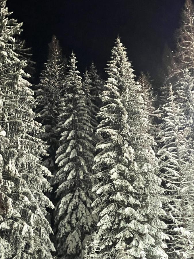 Ferienwohnung Up Willingen-Schwalefeld Виллинген Экстерьер фото