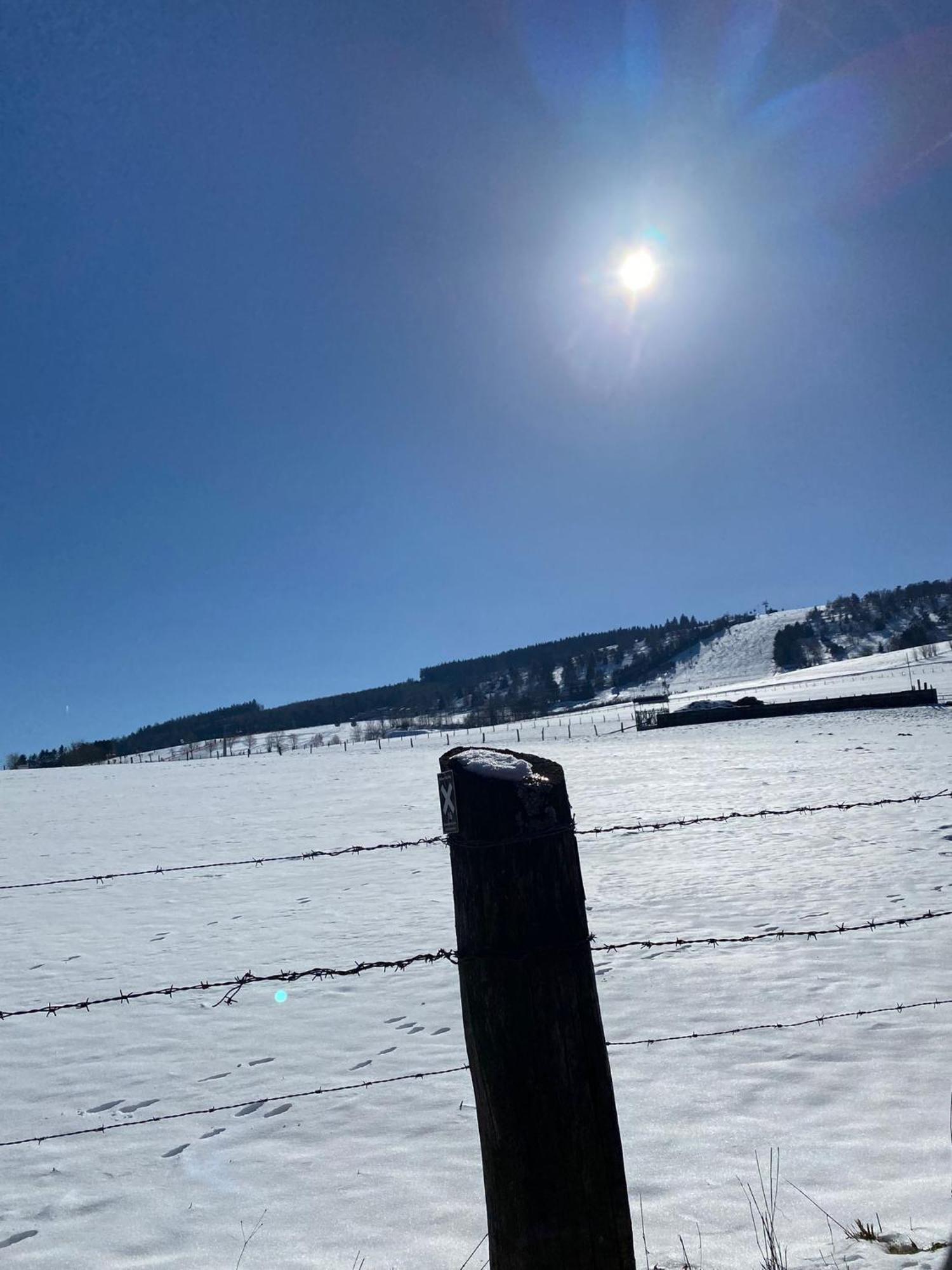 Ferienwohnung Up Willingen-Schwalefeld Виллинген Экстерьер фото