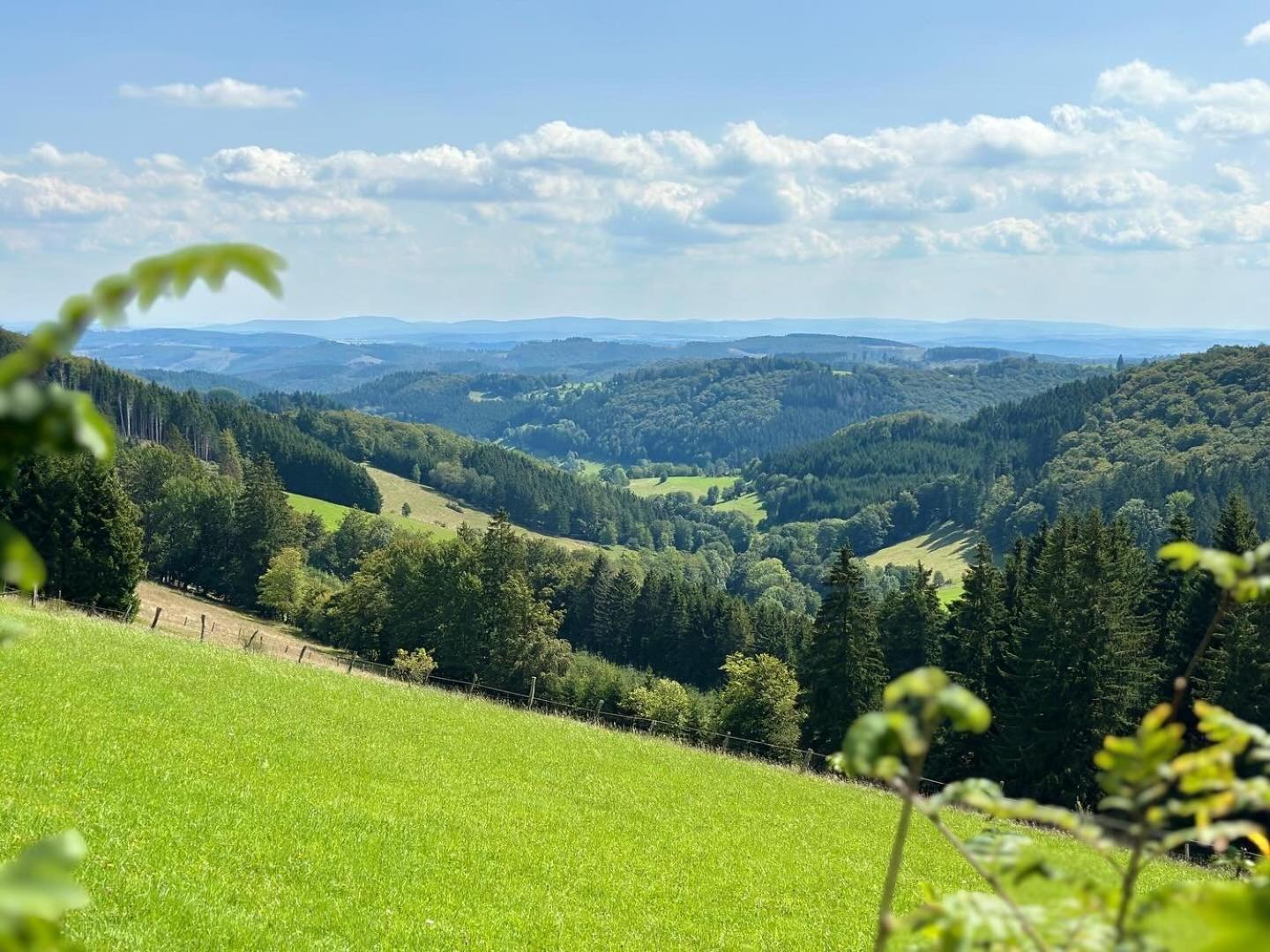 Ferienwohnung Up Willingen-Schwalefeld Виллинген Экстерьер фото